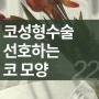 성형정보 22. 코성형수술 선호하는 코모양 알아보기, 코 수술 전 알아두면 좋은 정보