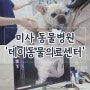 미사동물병원 데이동물의료센터에서 강아지 건강검진 받고오다!
