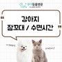 강아지 잠꼬대하는 이유 : 강아지 꿈꿀 때 / 강아지 수면시간