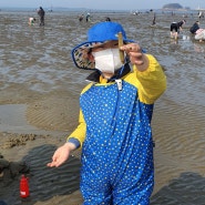서해 갯벌체험 몽산포해수욕장-아이들과 가기 좋은 갯벌체험장