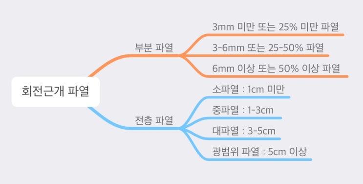 3. 회전근개 파열의 정도 (분류) : 네이버 블로그