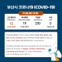 [6/8] 부산시 코로나19 현황 COVID-19 Status in Busan