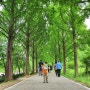 오산 물향기 수목원 :: 꽃구경 올챙이관찰 숲의 향기를 느낄 수 있는 곳
