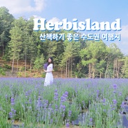 건강을 지키는 습관! 산책하기 좋은 허브아일랜드ㅣ힐링과 건강을 지키는 Herbisland