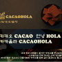 와인&위스키 안주!! 생초콜릿 카카올라(CACAOHOLA) (feat. 견과류와 과자)