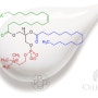 [43테라피 이론]-4. 레시틴 에멀젼의 정의 및 노화방지 역할 : lecithin cosmetic 셀턴 레시틴 화장품