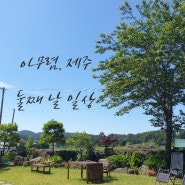 아무렴제주 [2] 아무렴일상 + 골목카페옥수