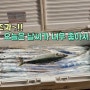 여수 갈치낚시 다녀왔네요. 갈치지깅 손맛 죽입니다. 뉴피닉스호