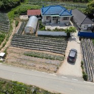 홍성 / 읍내5분 아담하고 깔끔한 미등기농가주택 301평