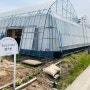부산근교 딸기수확체험+화분만들기체험 추천~(창원 주남농부더하기)