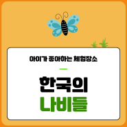 영암곤충박물관 한국의 나비들