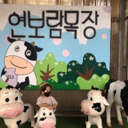서울근교 아이와 함께 하기 좋은 젖소체험목장 - 김포 연보람목장 다녀왔어요.