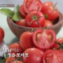 맛남의 광장 정읍 특산물 토마토를 이용한 수제 토마토 캐첩 만드는 방법