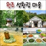 강원도 원주여행 생태체험여행 / 성황림 마을 체험프로그램