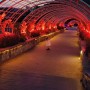 [장성 여행] 밤산책하기 좋은 황룡강 생태공원 도아랑 걷기 (장성 야경)