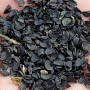 [연두네텃밭] 6월 텃밭채소 재래종대파 키우기 씨앗갈무리 청송뿌리파 대파김치 이야기