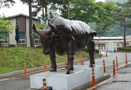 청도소싸움경기장 2