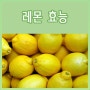 레몬 효능 - 비타민 C의 대명사
