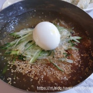 맛집 전주냉면맛집 전주한옥마을 우천칡냉면 매콤한 칡냉면이 땡길때