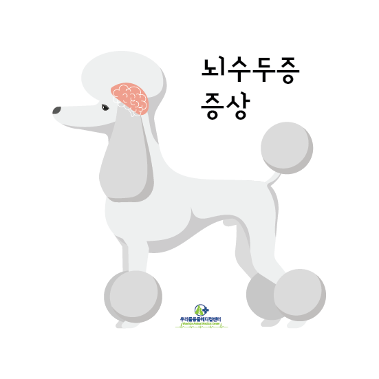 강아지 뇌수두증 척수공동증 증상 : 네이버 블로그