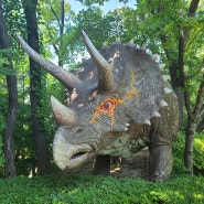 의정부 근교 남양주 가볼 만한 곳 공룡마을 미호박물관
