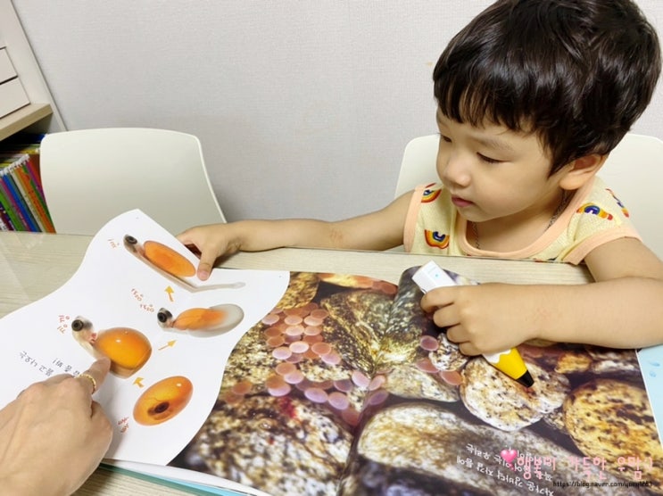아람 자연관찰 독후활동하기 좋은 책 : 네이버 블로그