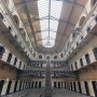 <휴먼카인드> 스탠퍼드 교도소 실험의 진실 : 그곳에선 아무 일도 벌어지지 않았다