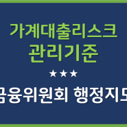 가계대출 리스크 관리기준 발표 세부내용_금융위원회 행정지도