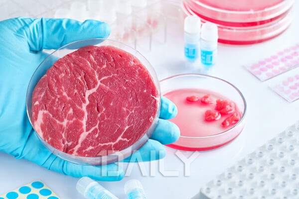 배양육 기술로 인한 농업 분야의 외부효과는 어떻게 변화할까? : 네이버 블로그