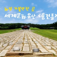 [경기도 가볼만한 곳]세계문화유산&숲이 예쁜 '융건릉'