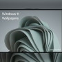 DOWNLOAD WINDOWS 11 STOCK WALLPAPERS & 윈도우 11 배경화면