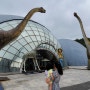 [보성 여행] 보성에 공룡이 나타났다! 보성 비봉공룡공원 방문 후기