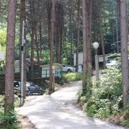 [뚠스.춘천숲자연휴양림] 숲속힐링캠프 / 계곡이 없어도 시원한 캠핑장