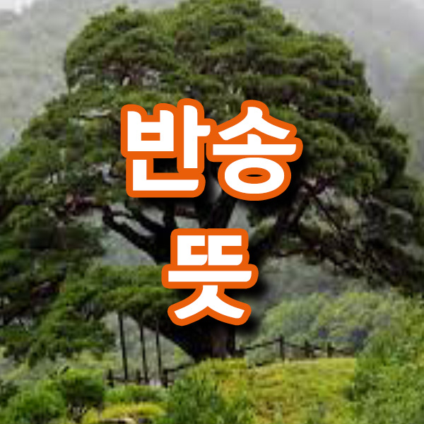반송뜻 이런 의미였군요 : 네이버 블로그
