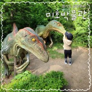 남양주 미호박물관 ,공룡 볼 수 있는 곳