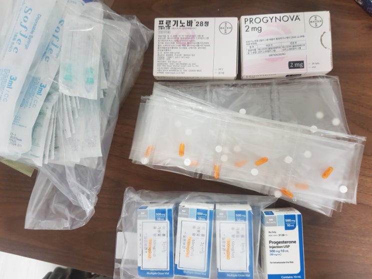 프로기노바 부작용 / 동결이식날짜 잡기까지 / 인공주기/ 숙제까지 받은 이야기 : 네이버 블로그