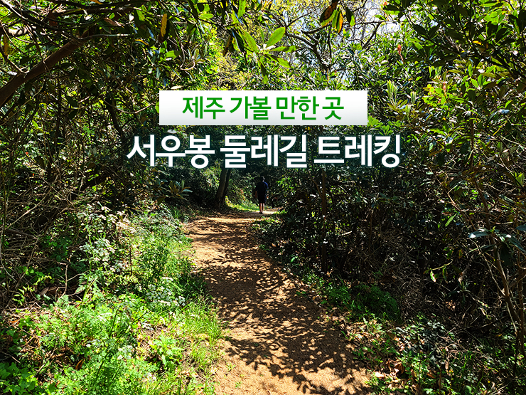 제주 가볼 만한 곳 함덕 서우봉 둘레길, 제주올레길 19코스 트레킹