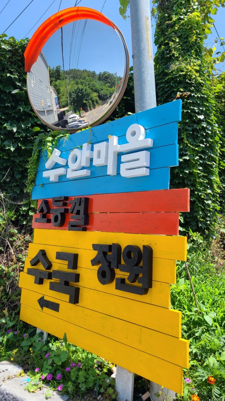 김해 수국이 아름다운 청정도랑이 있는 수안마을 소등껄 수국정원