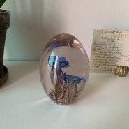 [sold out]Vintage Marsh Gentian & Heather Paperweight