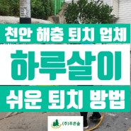 천안해충퇴치업체 | 하루살이, 쉬운 퇴치 방법