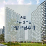 [주방나노코팅후기] 송도 sk뷰 센트럴 아파트 후기!
