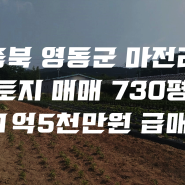 충북 영동군 건물 및 토지 매매 (토지2,393㎡, 730평, 1억5천만원)-귀농 부지 추천