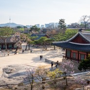 Changgyeonggung Palace, Seoul. 창경궁 (昌慶宮), 서울. PART02.