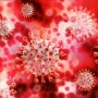 [뉴스원view] “코로나바이러스 독감처럼 지구에 토착화 할 것”