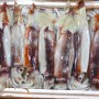 우리가 먹는 오징어 종류가 이렇게 다양하다니..알고 먹으면 맛이 배가 되는 한반도의 오징어 도감