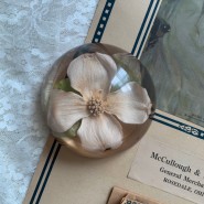 [sold out]Vintage Flowering dogwood Dome Paperweight