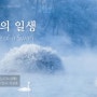 [잔잔한 CCM]백조의 일생 The Life of A Swan / Praise 이태종/ 석선시집 CD