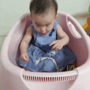 [노엘로그] 8개월아기발달사항,욕조바꾸기,시판이유식 첫경험