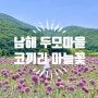 남해 두모마을 _ 코끼리마늘꽃 / 남해 가볼만한곳