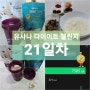 [유사나 다이어트 챌린지 21일차 솔직 후기] 3주차 결과인증